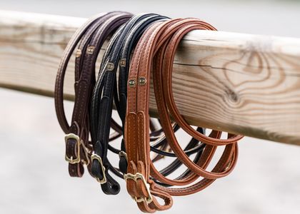 Lederzügel