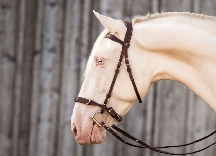 Ausbildungszaum Vario 