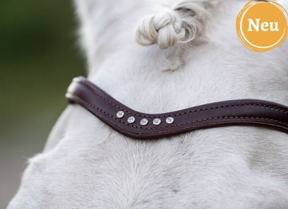 Geschwungener Glitzerstirnriemen 