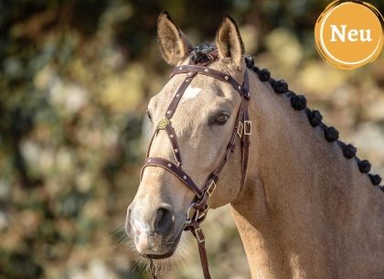 Working Equitation Zaum Pegaso 