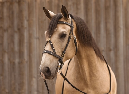 Working Equitation Zaum Pegaso 