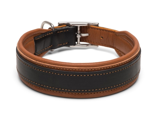 Halsband Rhodesian Ridgeback 