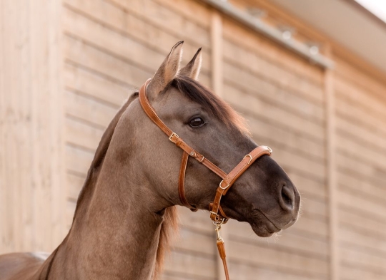 Multifunktions-Kappzaum Varioso Light 