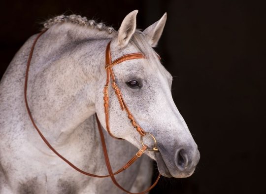 Western Trense Utah Vollblut | cognac mit Kontrastnaht | messing | Standardzügel 3,20 m