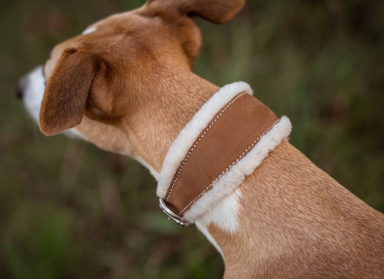 Windhundhalsband Whippet mit Lammfell-Fütterung Gr. 30 (23 - 29 cm) 