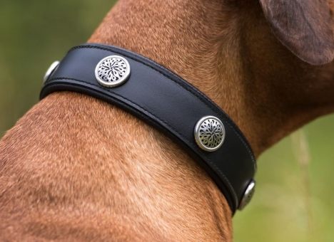 Halsband Königskind Rindsleder 