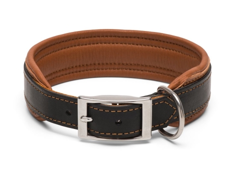 Halsband Rhodesian Ridgeback 