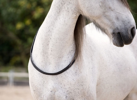 Halsring mit Reflexstreifen 