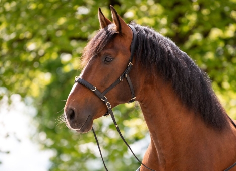 Einzelstücke B-Ware 