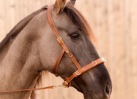 Multifunktions-Kappzaum Varioso Light 