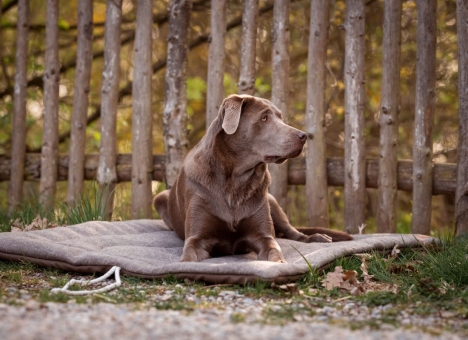 Outdoor-Plaid Companero 