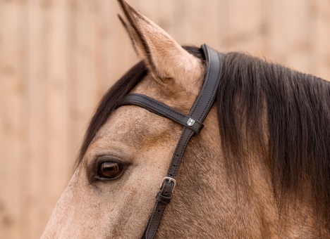 Trense ohne Reithalfter Liberia 