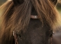 morepic-2