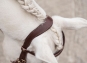 morepic-3