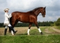 morepic-3