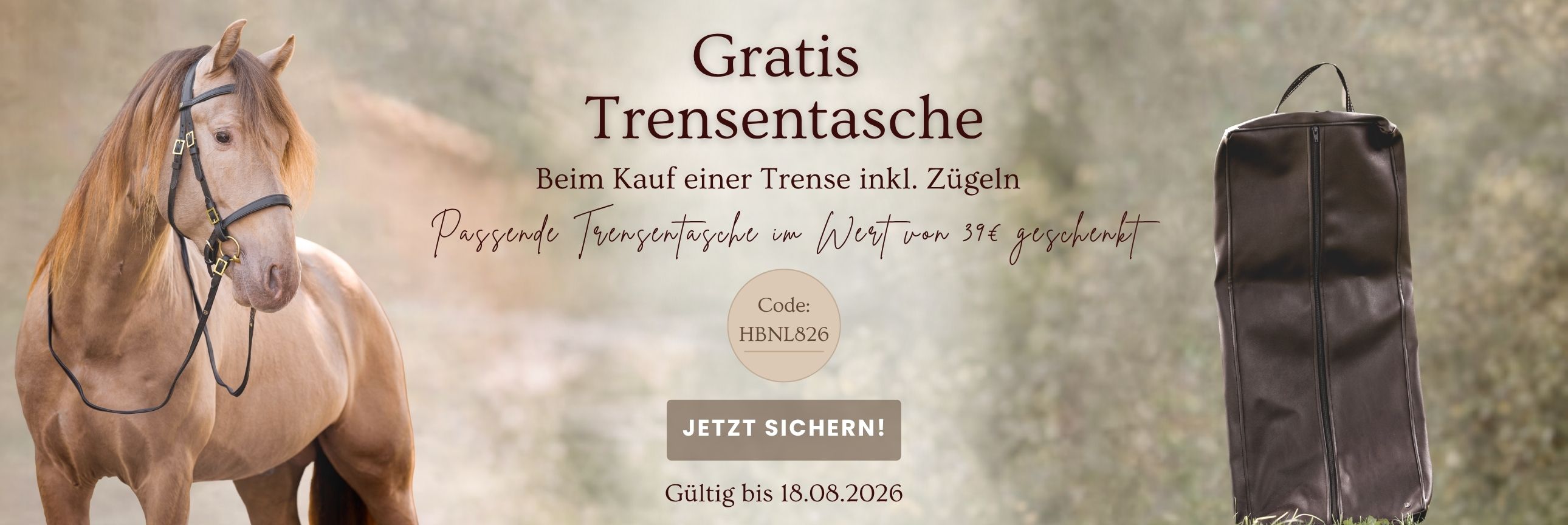 Angebot Trense+Zügel Trensentasche gratis