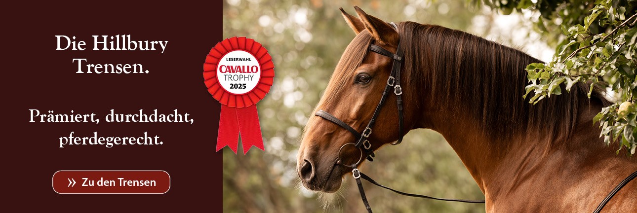 Hillbury Trensen