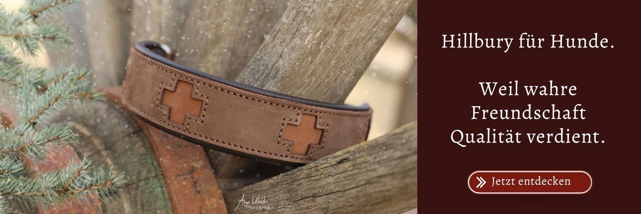 Hillbury Hundezubehör