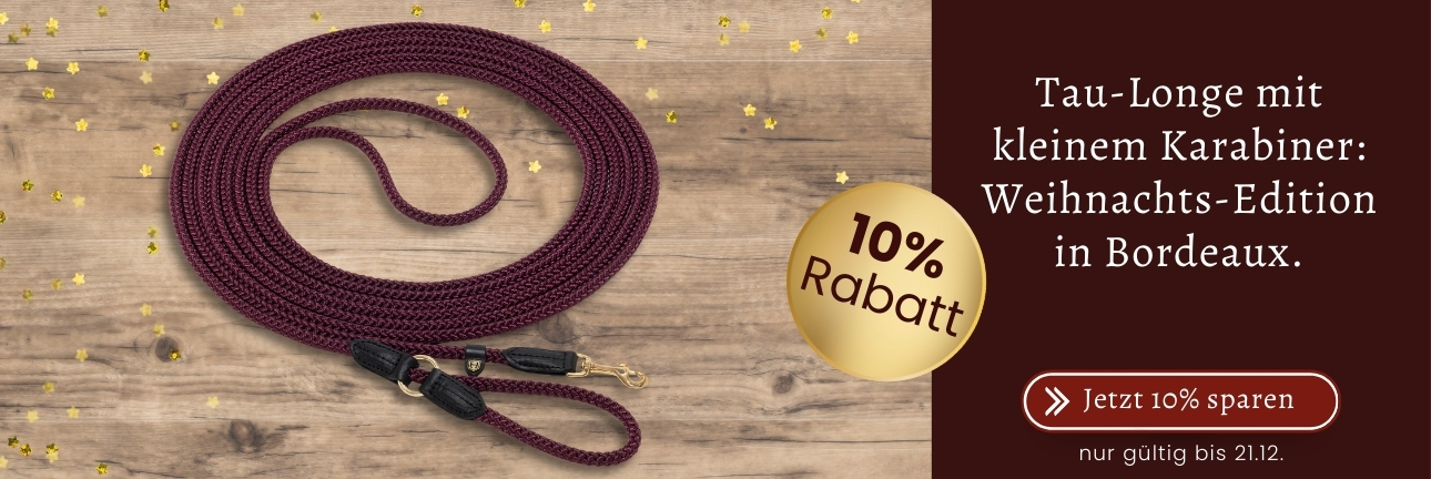 Weihnachtsangebot 3_Longe