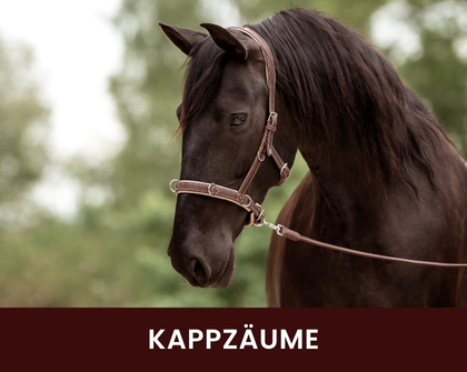 Kappzaum in Havanna mit beige unterlegt