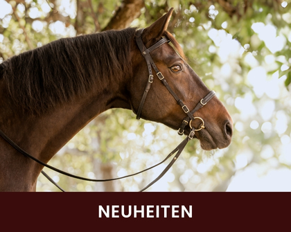 Braunes Pferd mit Trense