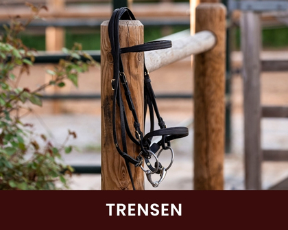 Schwarze Trense am Holzzaun