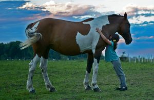 Wenn Pferde Vertrauen schenken - Reittherapie - eine Bereicherung