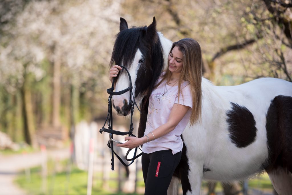 Junges Pferd Schlägt Mit Dem Kopf