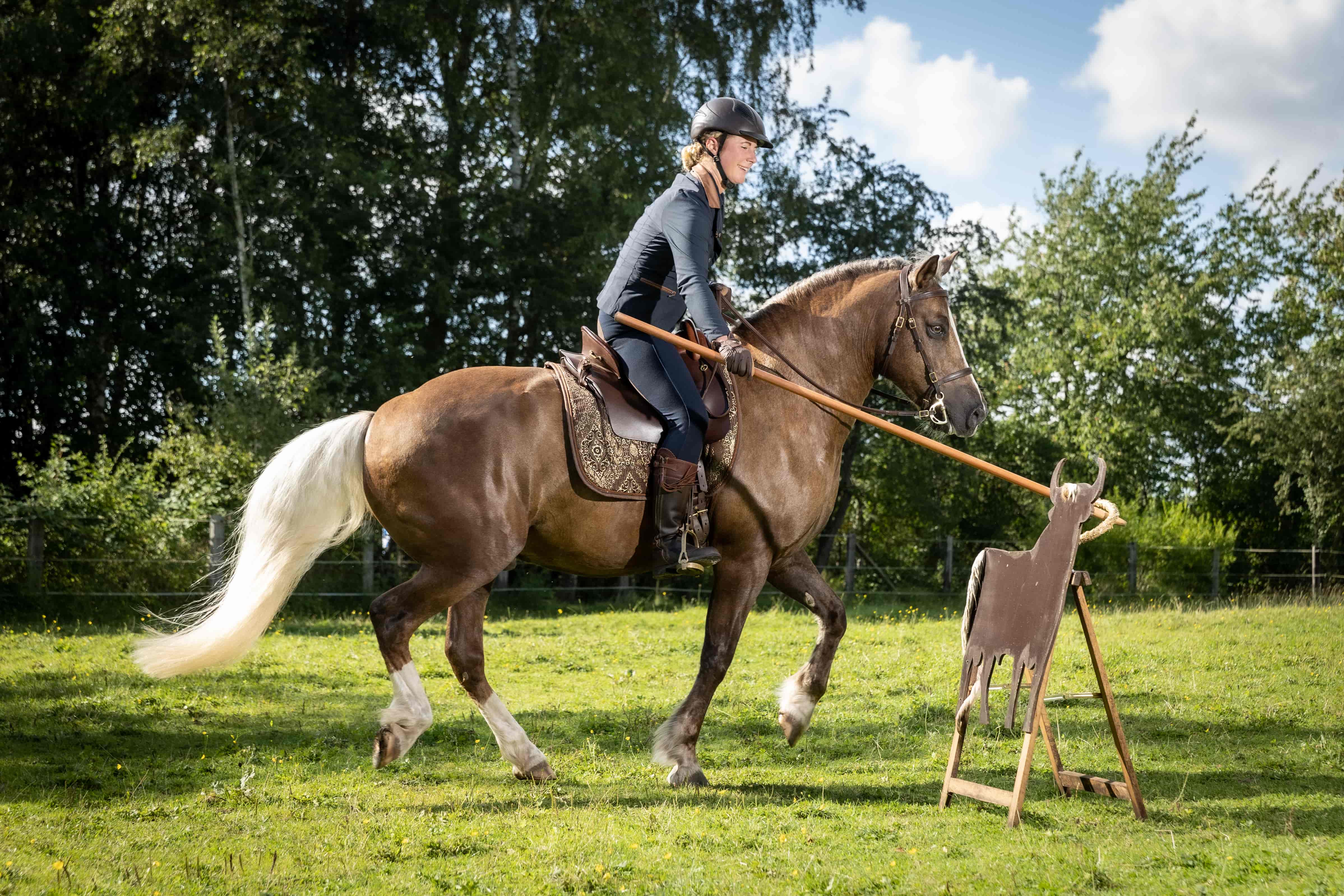 Working Equitation So Gelingt Der Einstieg Teil 2 Trailhindernisse