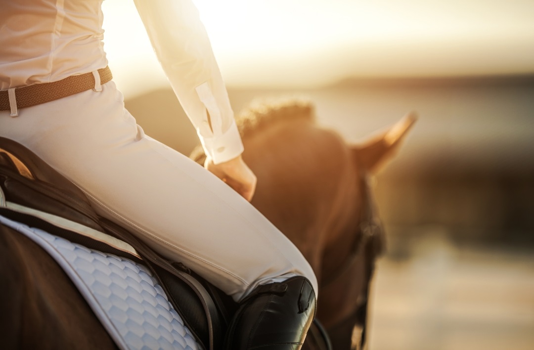 Leichttraben oder Aussitzen